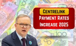 Couples New Centrelink Amounts Effective 1 Oct 2025 – Revised Rates for Pensions & Allowances
