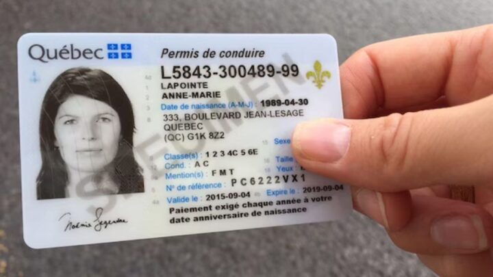 New Licence Rules 2025 