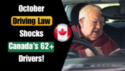 Canada Issues October 2025 Driving Law Regulations – 62+ New Driver Rules, Province by Province